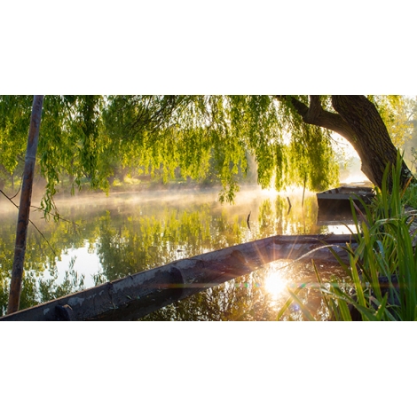 SLVie 9 Visite guidée marais de Bourges