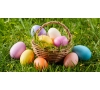 SLVie 9 Chasse aux oeufs
