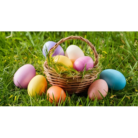 SLVie 9 Chasse aux oeufs