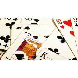SLVie 3 APM jeux