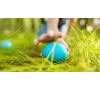 SLVie 4 Chasse aux oeufs 2025