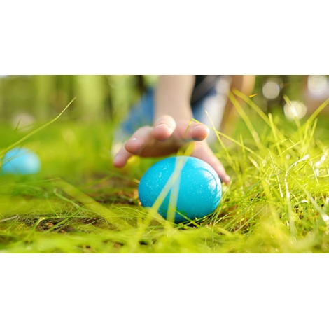 SLVie 4 Chasse aux oeufs 2025