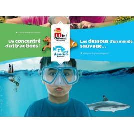 SLVie 9 - Aquarium et mini château en Touraine