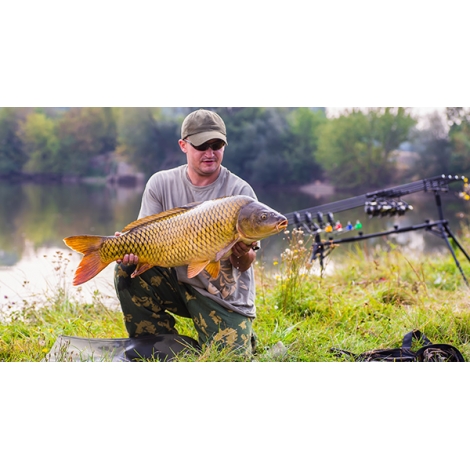 SLVie 5 Marathon carpe concours