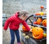SLVie 4 ÂN'HALLOWEEN A LA FERME