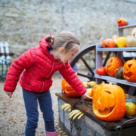 SLVie 4 ÂN'HALLOWEEN A LA FERME