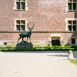 SLVie 9 Visite guidée musée de la chasse