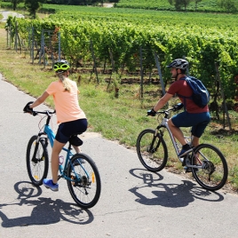 SLVie 9 Rallye des vignobles