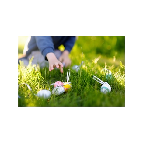 SLVie 9 - Chasse aux oeufs SLVie 9 - Chasse aux oeufs